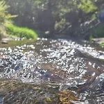 Roubenka A Miniroubenka, Olsany 度假居