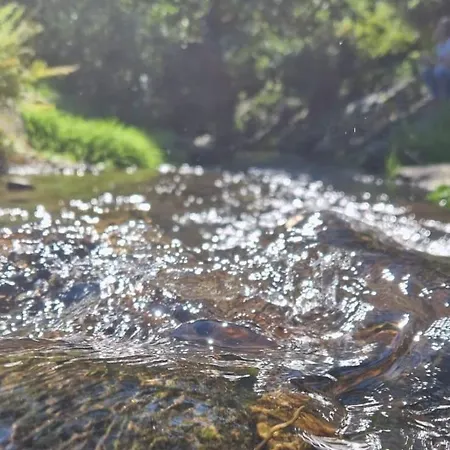 Roubenka A Miniroubenka, Olsany 度假居