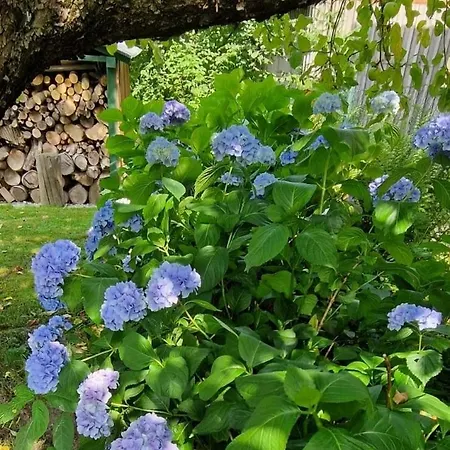 Roubenka A Miniroubenka, Olsany Casa vacanze